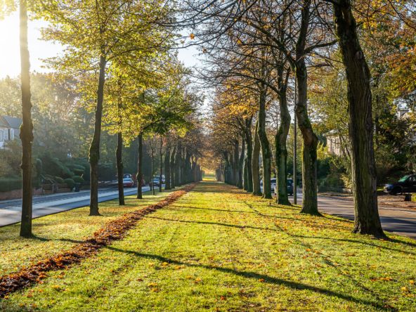 Avenue Villa Baron d'Huart
