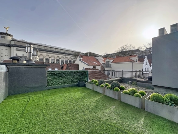 Terrasse sur toit avec gazon synthétique et vue sur toits historiques   appartement 1 chambre  bruxelles