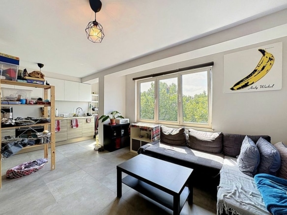 Appartement lumineux avec salon cuisine ouverte moderne et grande fenêtre sur verdure   appartement 1 chambre  saint gilles