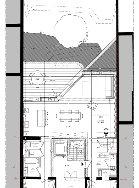 Plattegrond van de begane grond van een huis met een centrale hal en trap, een open woon-/eetkamer met keuken, verschillende slaapkamers en badkamers, en een terras met een boom.